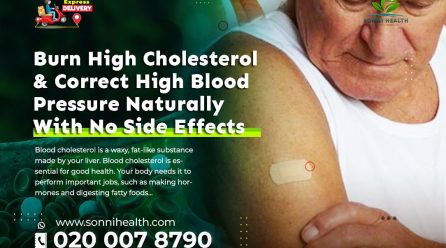 HOW TO BURN HIGH CHOLESTEROL AND CORRECT HIGH BLOOD PRESSURE NATURALLY WITHOUT ANY SIDE EFFECT